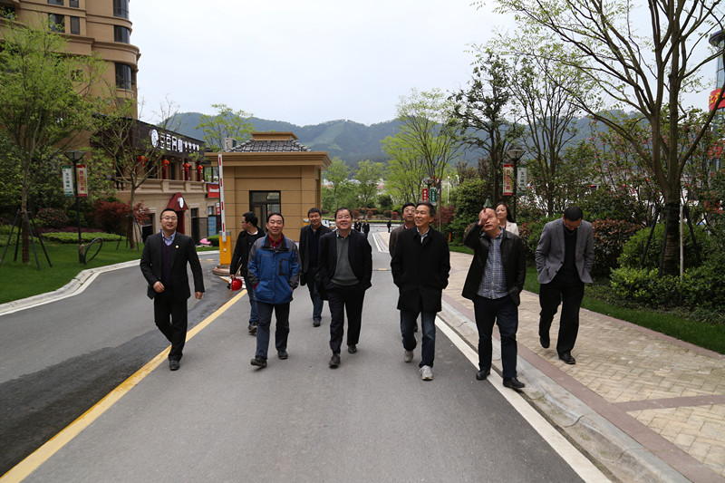 集團公司領(lǐng)導調(diào)研瀾庭國際項目建設(shè)銷售情況